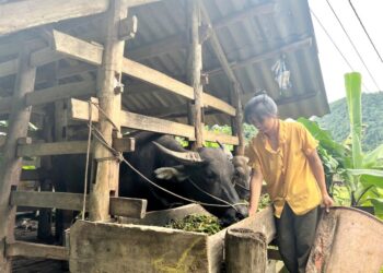 Cao Bằng thúc đẩy giải ngân vốn tối đa năm 2024