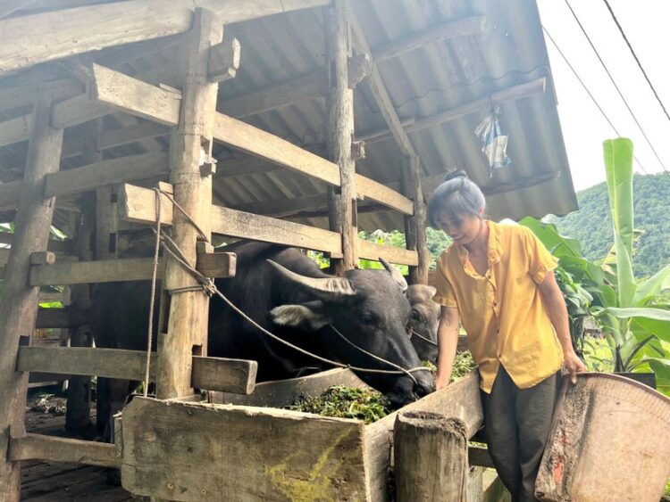 Cao Bằng thúc đẩy giải ngân vốn tối đa năm 2024