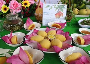 Tuyệt vời: Món ăn sáng tạo từ xoài Đồng Tháp