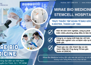 Tế Bào Gốc Mô Mỡ Tự Thân Là Gì? | Tất Cả Những Gì Bạn Cần Biết