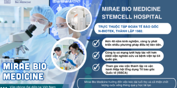 Tế Bào Gốc Mô Mỡ Tự Thân Là Gì? | Tất Cả Những Gì Bạn Cần Biết
