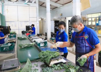 Kiểm soát nghiêm ngặt thực phẩm từ nơi sản xuất.