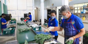 Kiểm soát nghiêm ngặt thực phẩm từ nơi sản xuất.