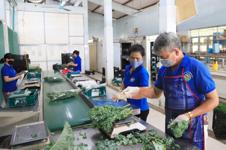 Kiểm soát nghiêm ngặt thực phẩm từ nơi sản xuất.